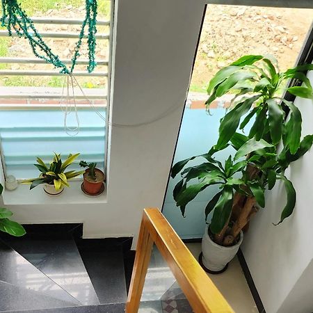 Sena Home 3#1-Near Danang Dragon Bridge-Han River المظهر الخارجي الصورة