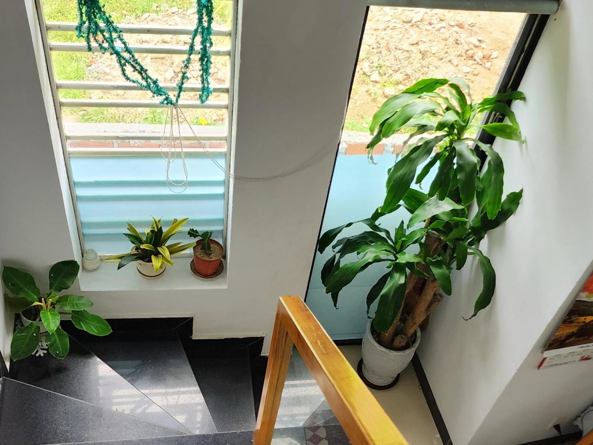 Sena Home 3#1-Near Danang Dragon Bridge-Han River المظهر الخارجي الصورة