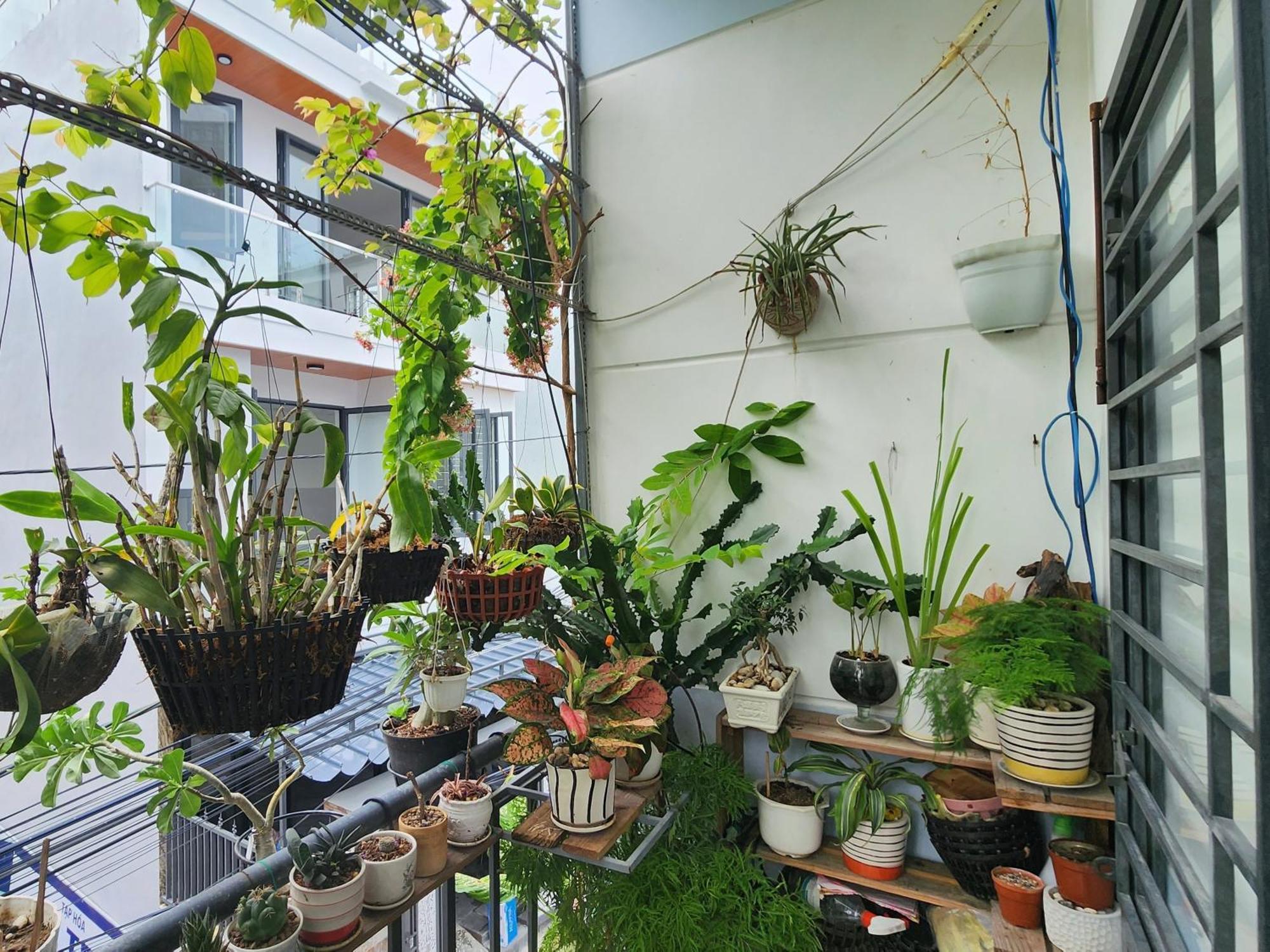 Sena Home 3#1-Near Danang Dragon Bridge-Han River المظهر الخارجي الصورة